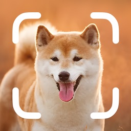 Dog Breed Identifier - Pet Pro