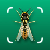 Insect ID - Bug Finder