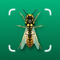 Insect ID - Bug Finder