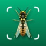Get Insect ID - Bug Finder for iOS, iPhone, iPad Aso Report