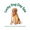 Lucky Dog Day Spa offers the very best in pet care