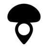 Track My Mushrooms - Ragazzetto Project
