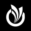 IBAN | Swift Wallet Account - ibrahim karagz