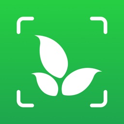 Plant Identifier: Plantiary
