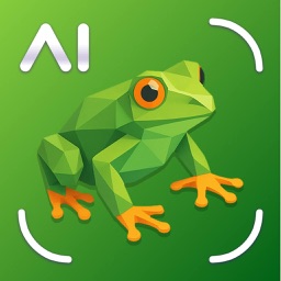 Frog Identifier: Scanner AI