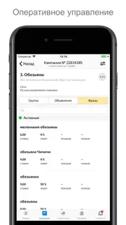 Яндекс Директ для бизнеса iphone resimleri 1