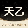天乙八字排盘-八字六爻合婚风水算命周易占卜姻缘财运择日 app icon - Reference app for iPhone