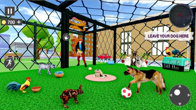 Animal Shelter Cat Rescue Game Screenshot