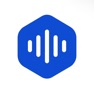 Get Notely AI -Instant Audio Notes for iOS, iPhone, iPad Aso Report