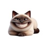Get Happy Siamese Cat Stickers for iOS, iPhone, iPad Aso Report
