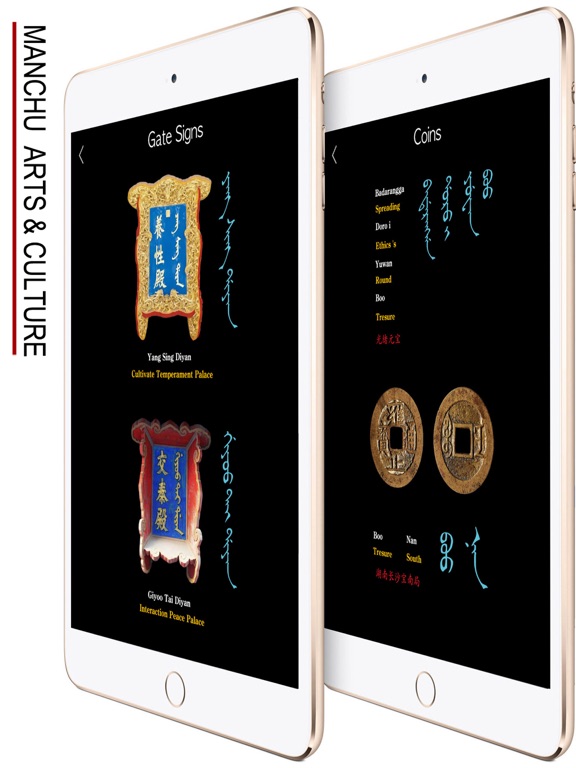 Learn Manchu Handwriting iPad screenshot