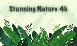 Download Stunning Nature : 4K Wallpaper app