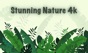 Stunning Nature : 4K Wallpaper app download