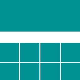 Net Score