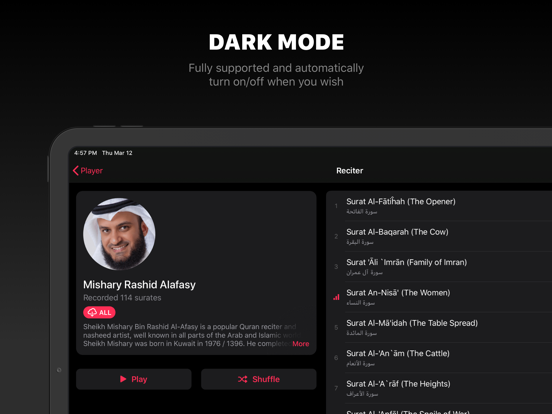 Quran Pro: Muslim & Koran iPad app afbeelding 6