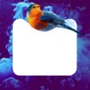 Magic Trailz icon