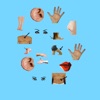 Body Parts - Basic - iPhoneアプリ