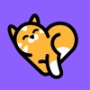 Meowz: Cat Training and Care icon