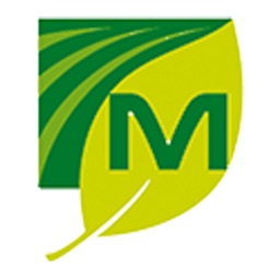Intranet-Mutualia