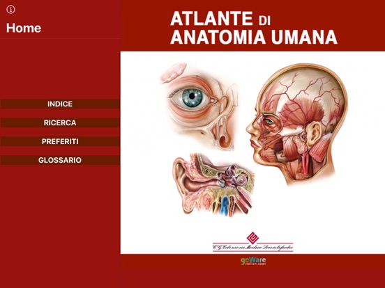 Screenshot #4 pour Atlante di Anatomia