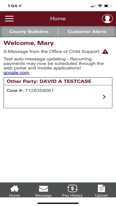 Ohio Child Support Screenshot