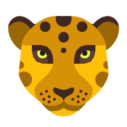 MORPH - Face Morph Video