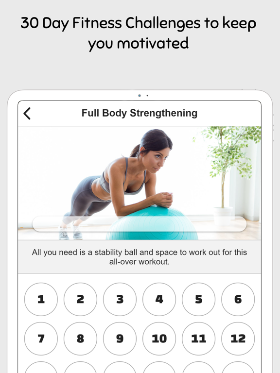 Stability Ball Workout Guide iPad screenshot