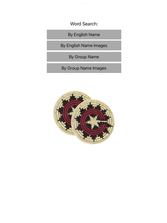 Screenshot #5 pour Speak Navajo Language Volume 2