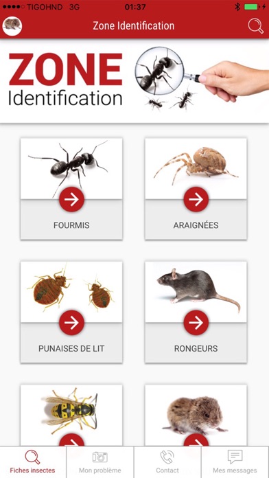 Abat Extermination Screenshot