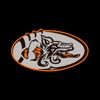 Badalona Dracs icon