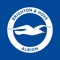 The official Brighton & Hove Albion app is your perfect team mate on a training or match day