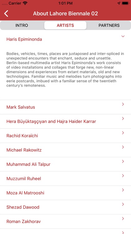 Lahore Biennale screenshot-6