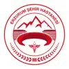 Erzurum Şehir Hastanesi delete, cancel
