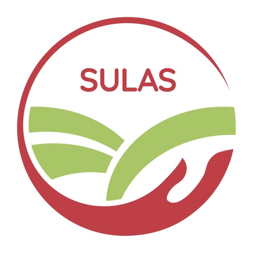 Sulas
