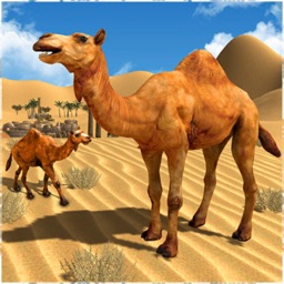 Camel Family Simulator Game