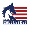 American Saddlebred icon