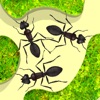 Ant Farm Simulator icon