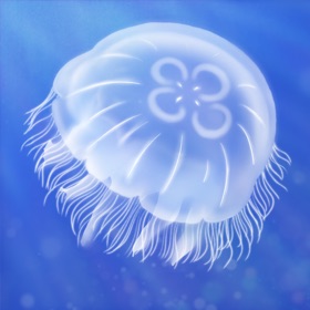 螢幕擷取畫面 (3) JellyfishLifeSimulation