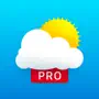 Weather 14 days - Meteored Pro