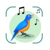 Bird Sounds Identifier Call ID icon