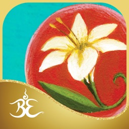 Soul Lessons Oracle Cards