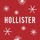 Hollister Co.