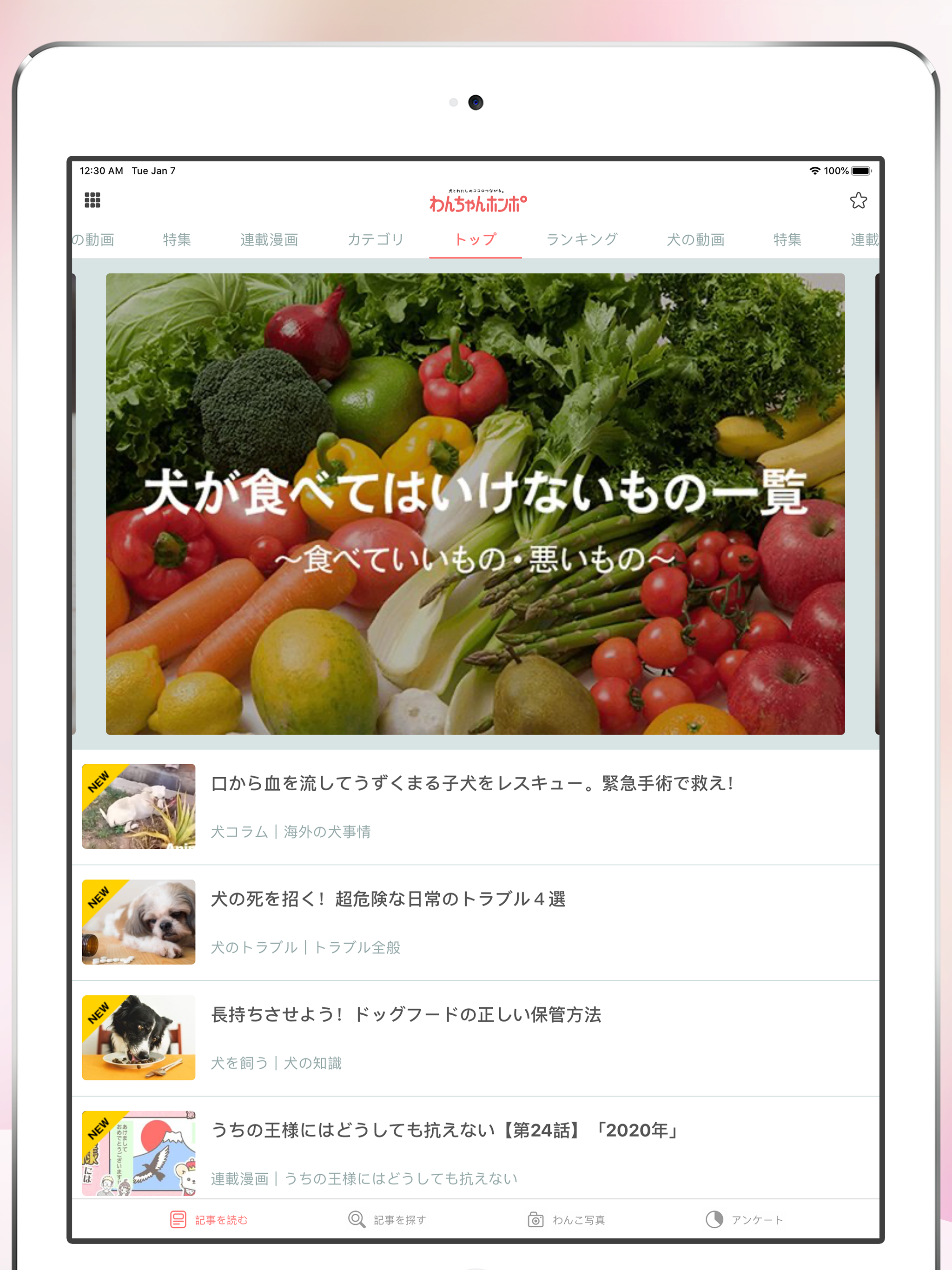 犬のニュースや飼い方の情報をまとめ読み -わんちゃんホンポ-