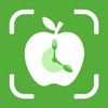 Calorie Counter - TDEE Calc icon