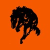 Frenchtown HS Broncs icon