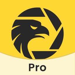 WikiFX
