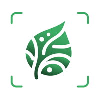 Ai Plant Identifier Tree Weed