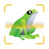 Frog Identifier Frog Sound ID icon