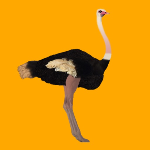 Ostrich Trails
