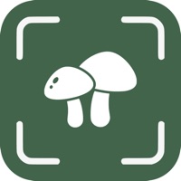 Mushroom Identifier - MI